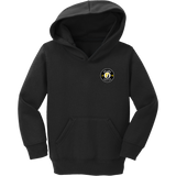 Upland Soccer Toddler Core Fleece Pullover Hooded Sweatshirt