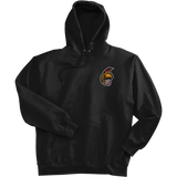 Seacoast Spartans (Ice Hockey) Super Heavyweight Fleece Hoodie