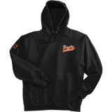 Biggby Coffee AAA Ultimate Cotton - Pullover Hooded Sweatshirt