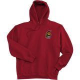 Seacoast Spartans (Ice Hockey) Super Heavyweight Fleece Hoodie