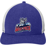 CT Wolfpack South New Era Snapback Low Profile Trucker Cap