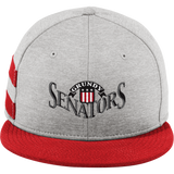 Grundy Senators New Era Shadow Heather Striped Flat Bill Snapback Cap