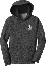 Berdnikov Bears Youth PosiCharge Electric Heather Fleece Hooded Pullover